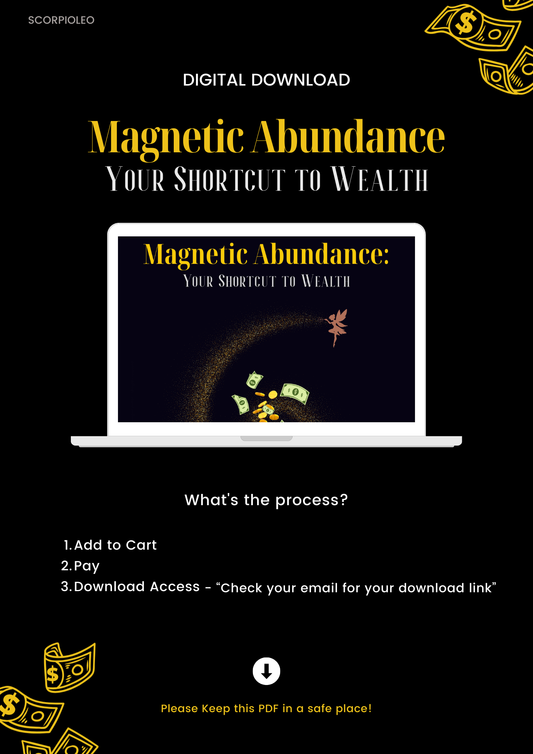 Magnetic Abundance: Your Shortcut to Wealth eBook