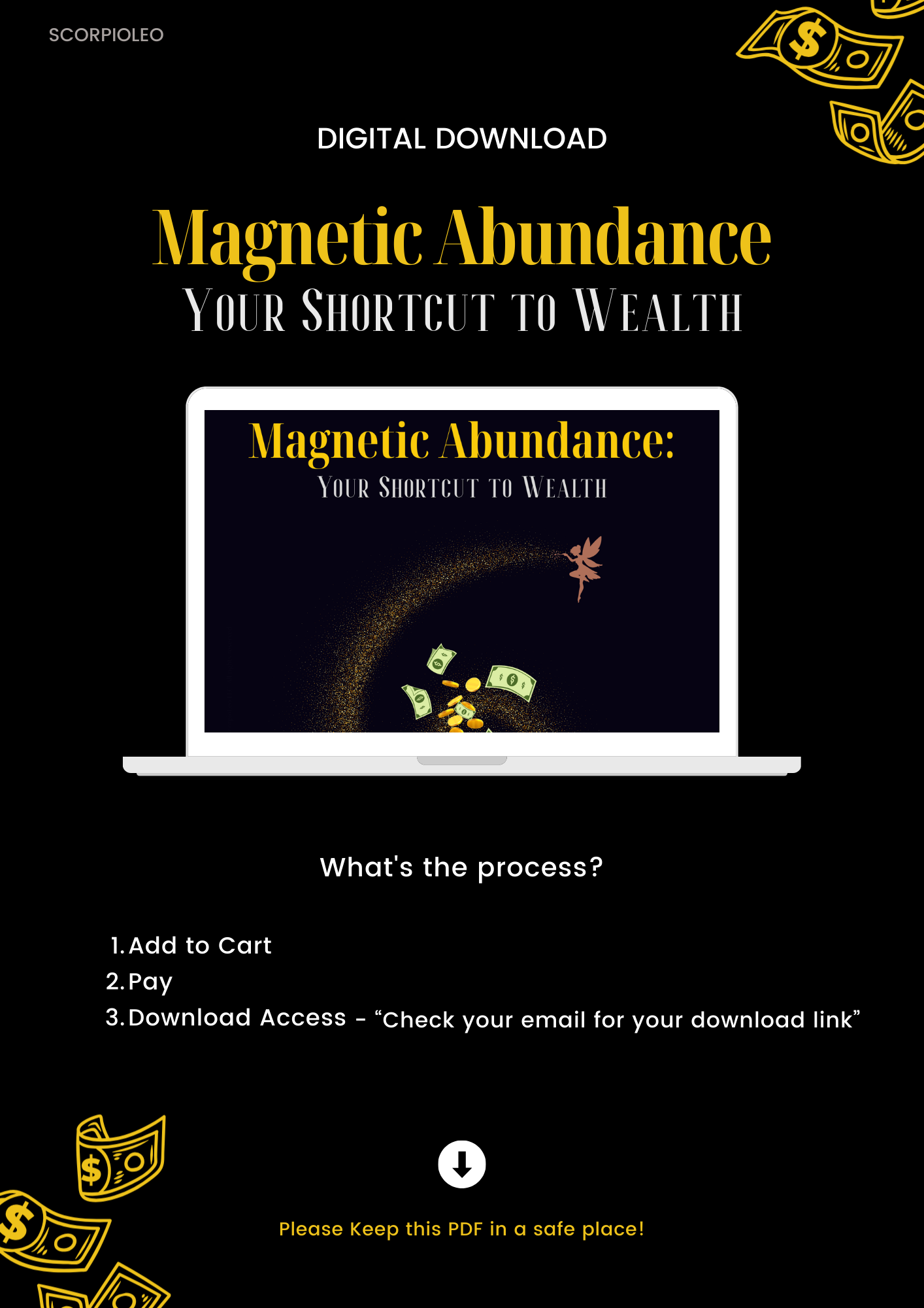Magnetic Abundance: Your Shortcut to Wealth eBook